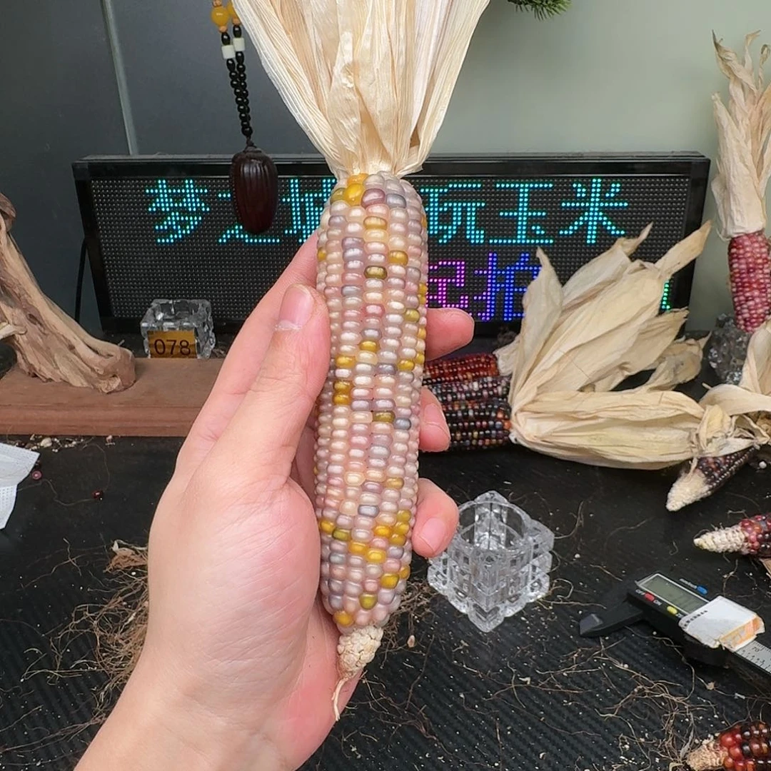柏香籽/百香籽吊坠Q*