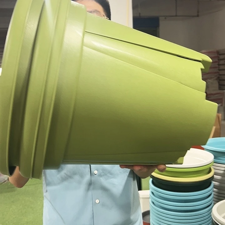 青山口40高34果绿3只无托