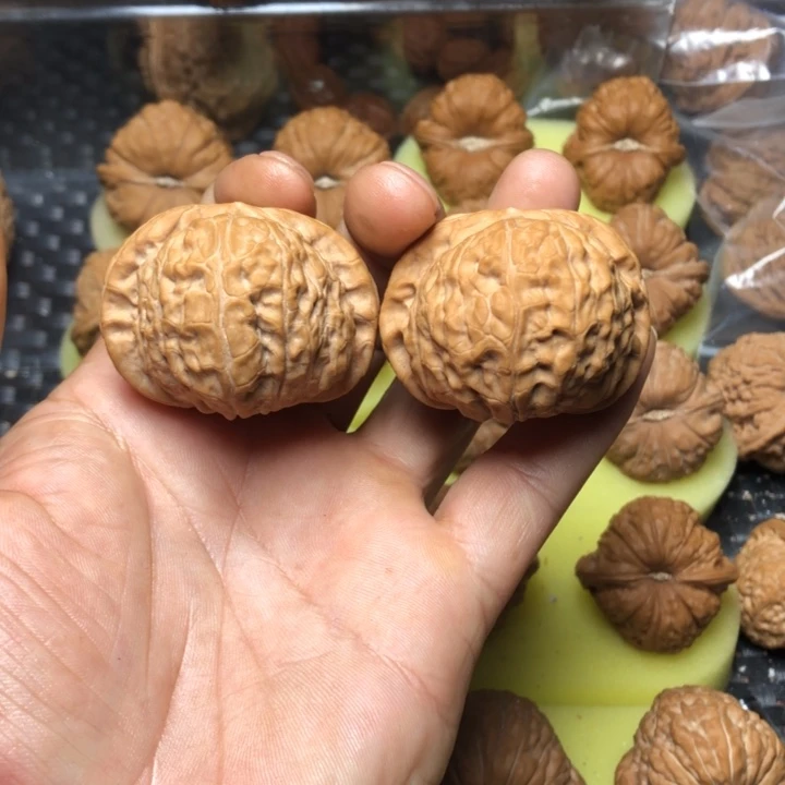 用***6大叶紫檀（黑酸枝木类）