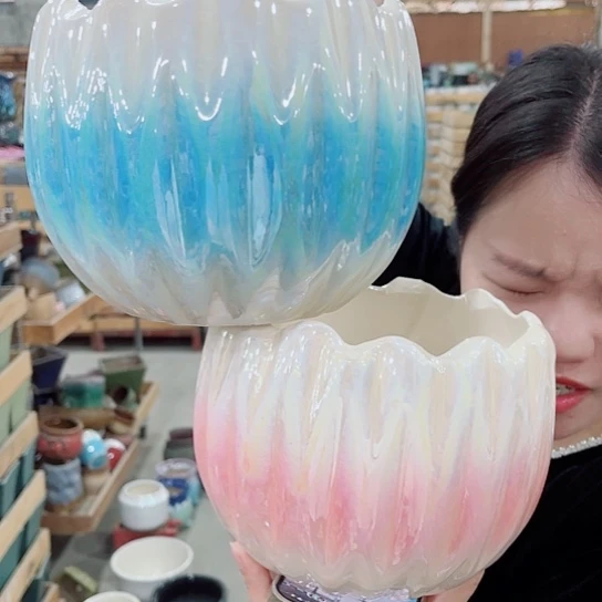 花盆凑单福利满10元发货！