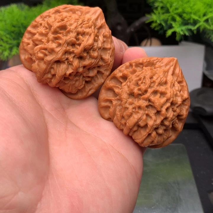 吊坠文玩核桃50尺官帽