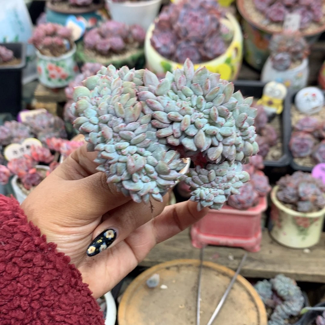 哈哈哈哈哈哈哈哈哈4