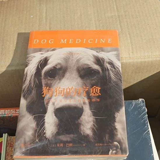 狗狗的疗愈，一个关于爱与重生的真实故事？