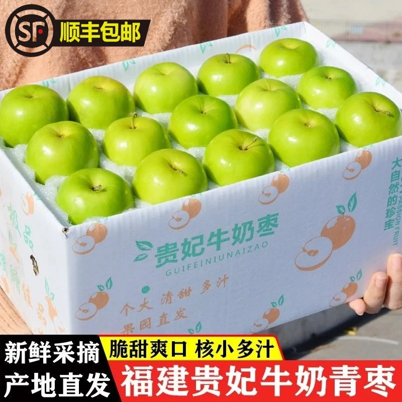 【坏果包赔】福建牛奶枣当季孕妇新鲜礼盒蜜甜脆枣老树2/3/5斤净重