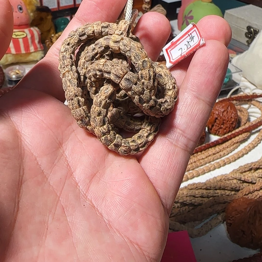 吊坠柏香籽/百香籽大蟒蛇