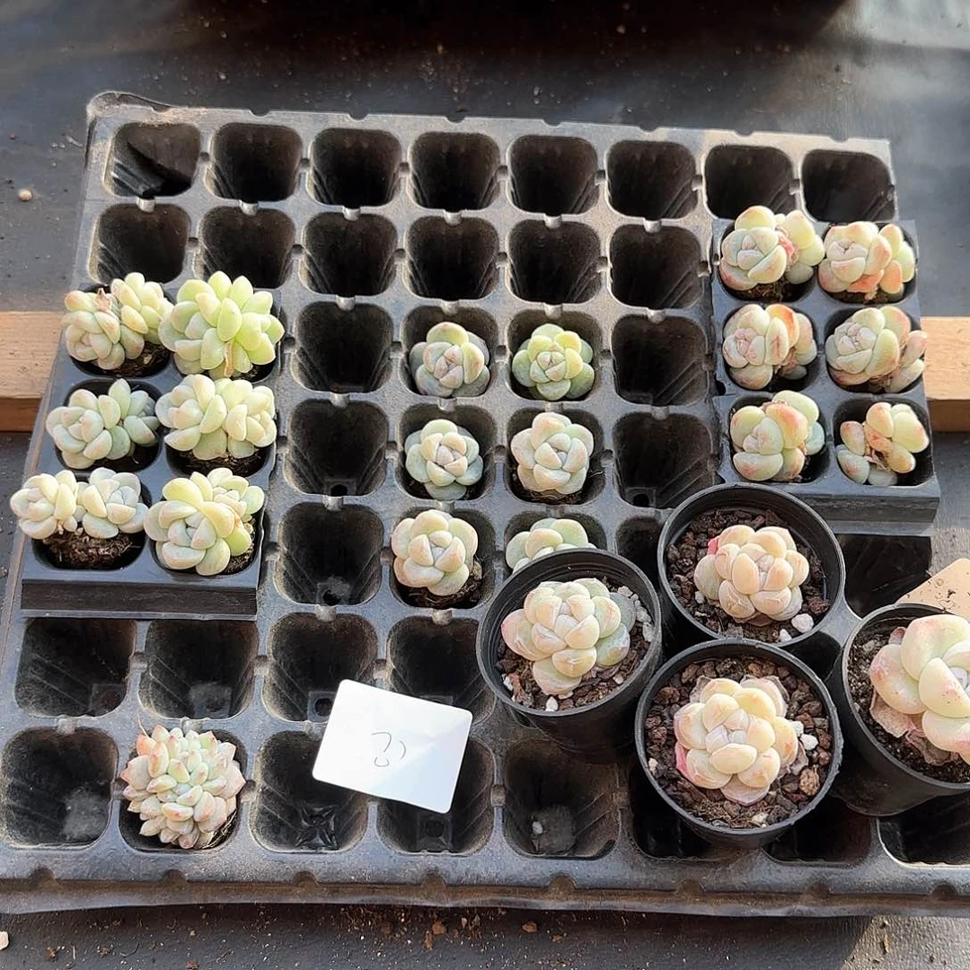 哈哈哈哈哈哈哈哈哈哈