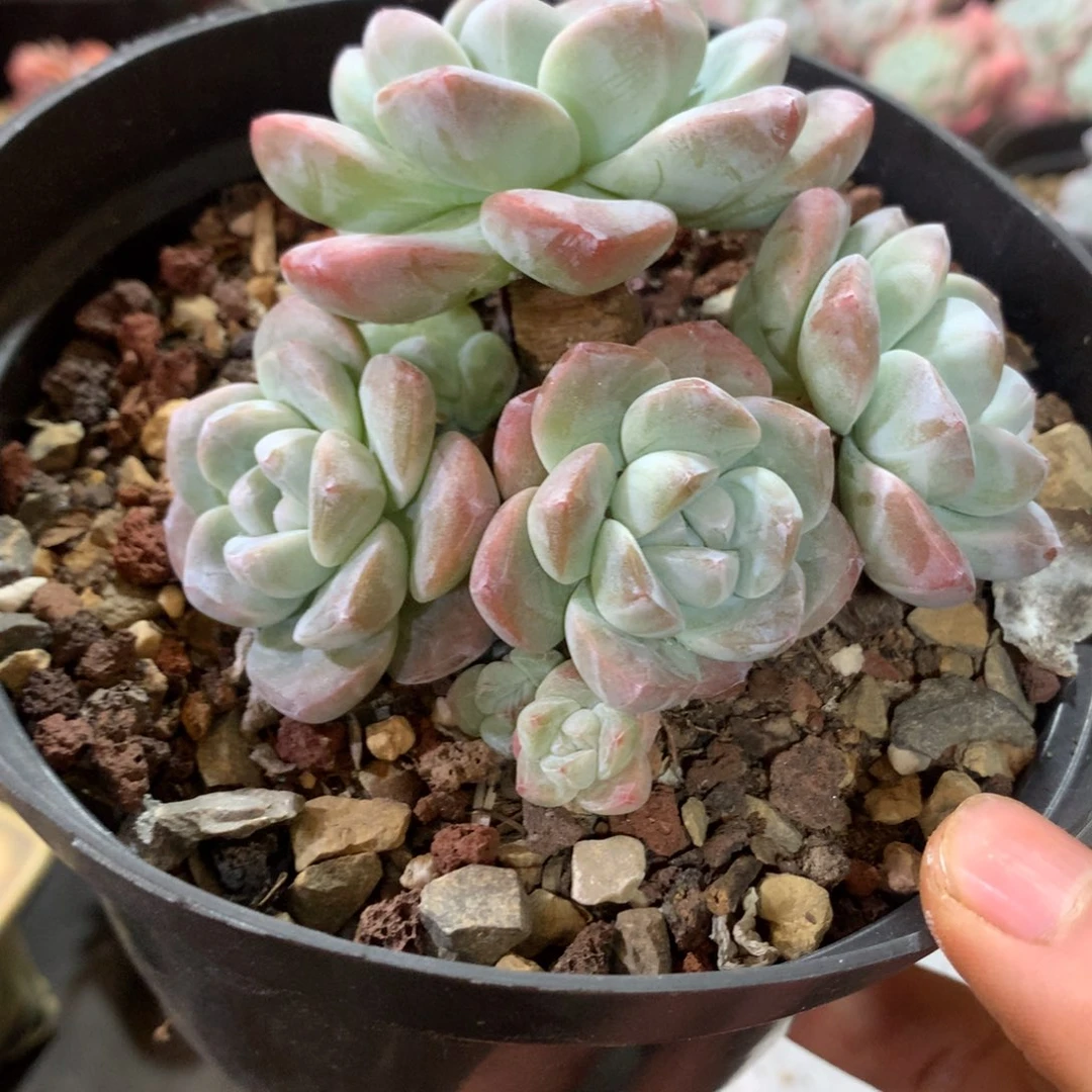 哈哈哈哈哈哈哈哈哈哈哈