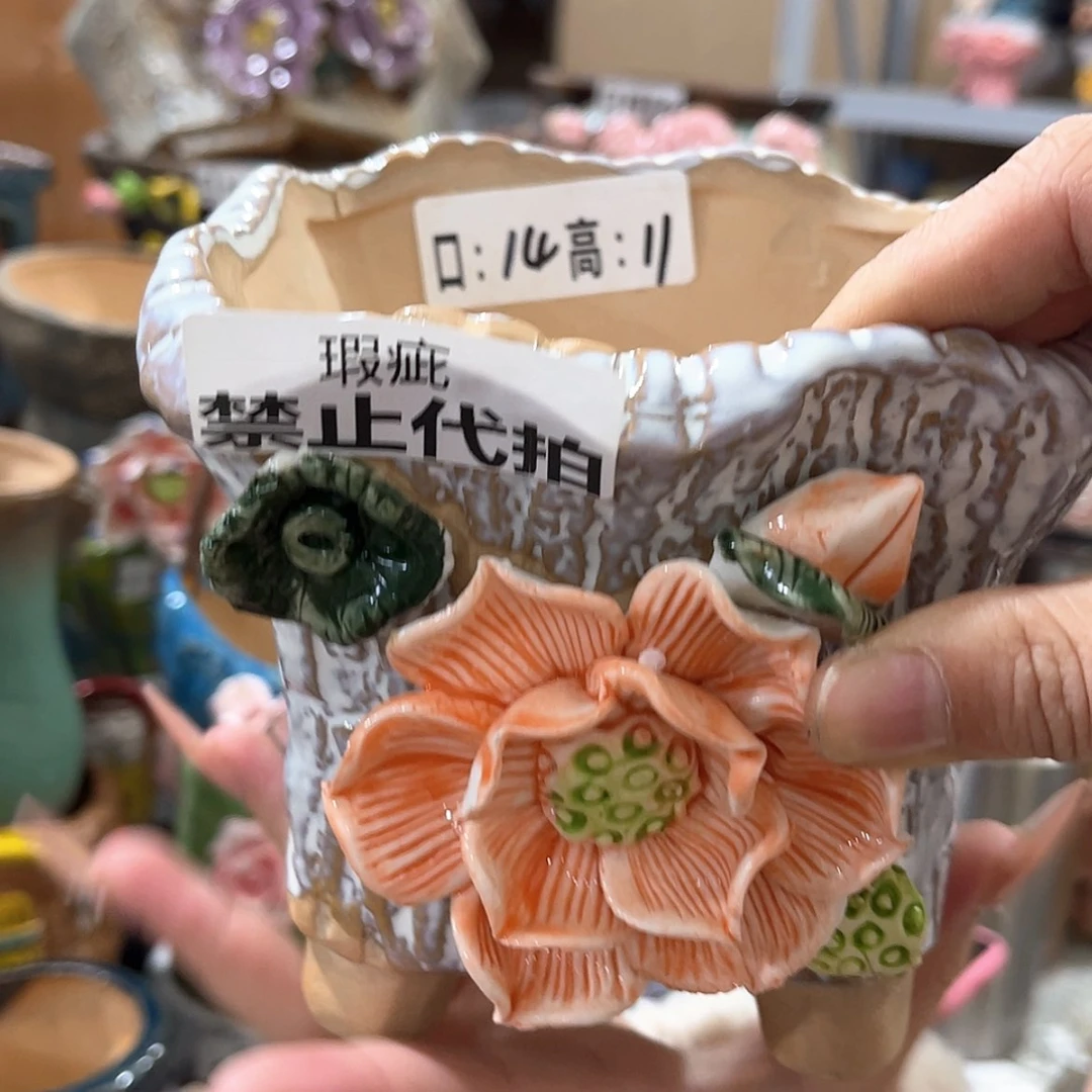 【闪购商品】红陶福利