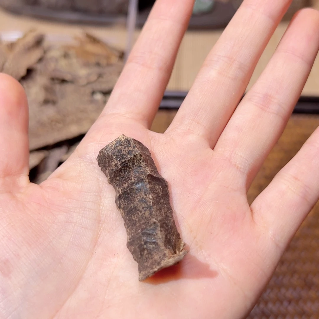 【闪购商品】香榧木海南木料尖峰岭沉水鸡母虫漏1克下播