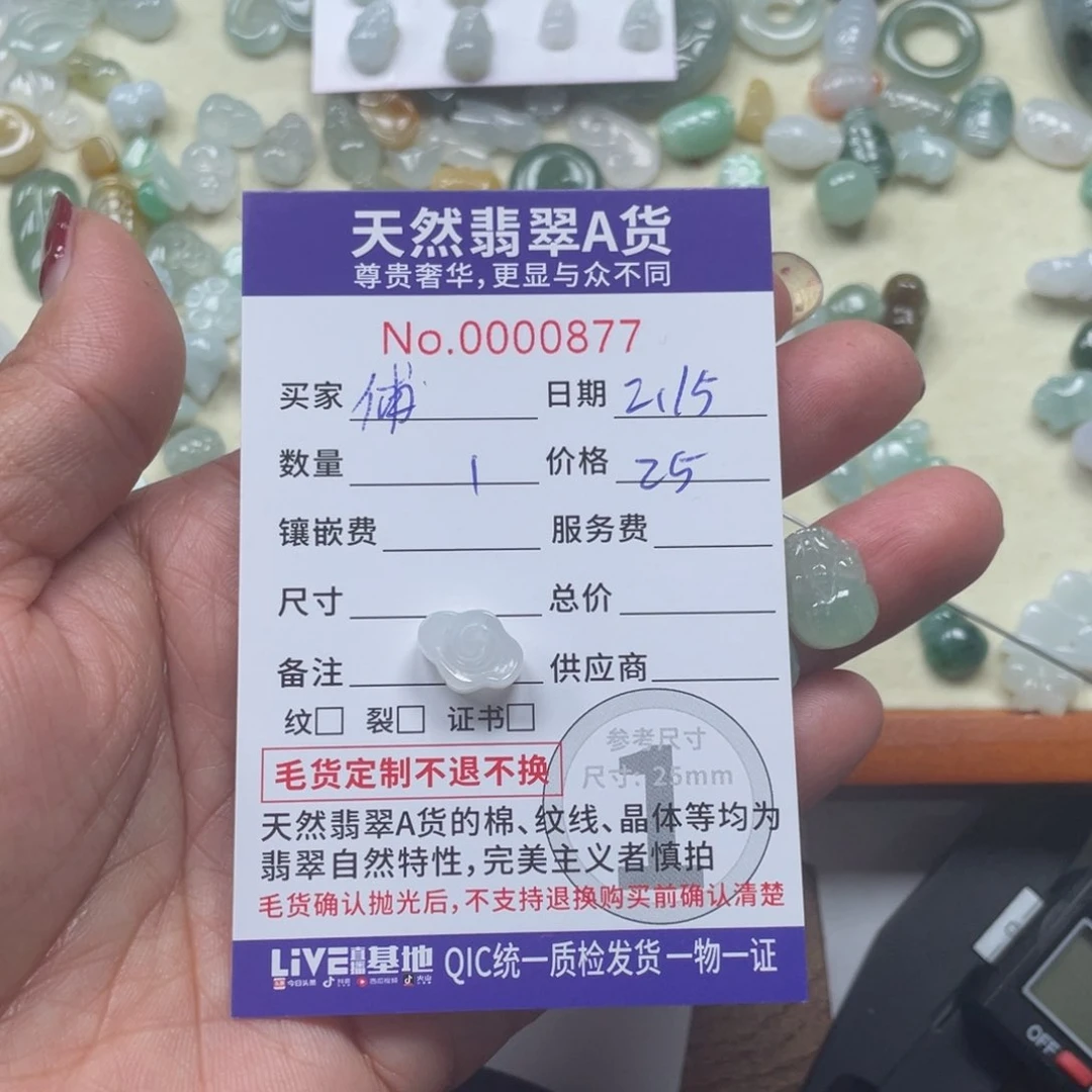 翡翠颈饰未镶嵌傅*云