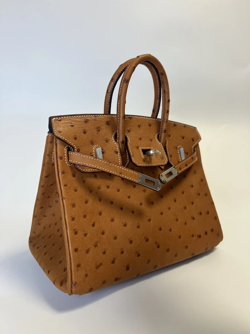 01 BJ 铂铂鸵鸟皮新款时尚头层牛皮单肩包气质轻奢女士真皮