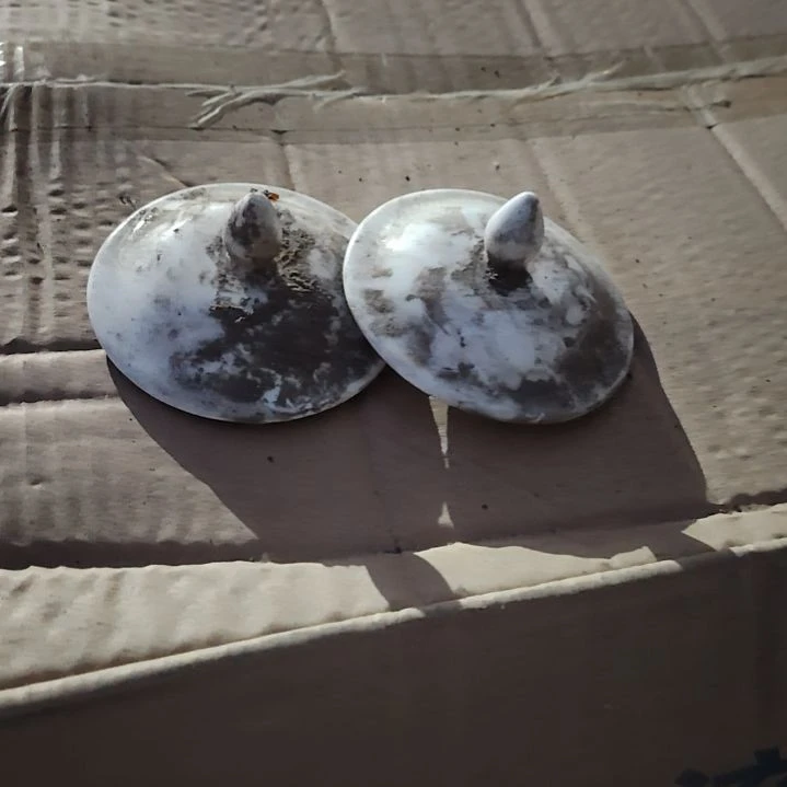 碗元**贞陶瓷盘子碗啥都有