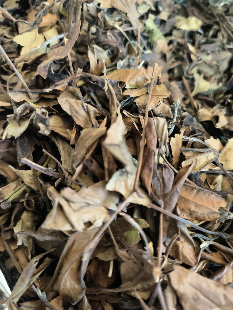 贡眉2018年（初级农产品）