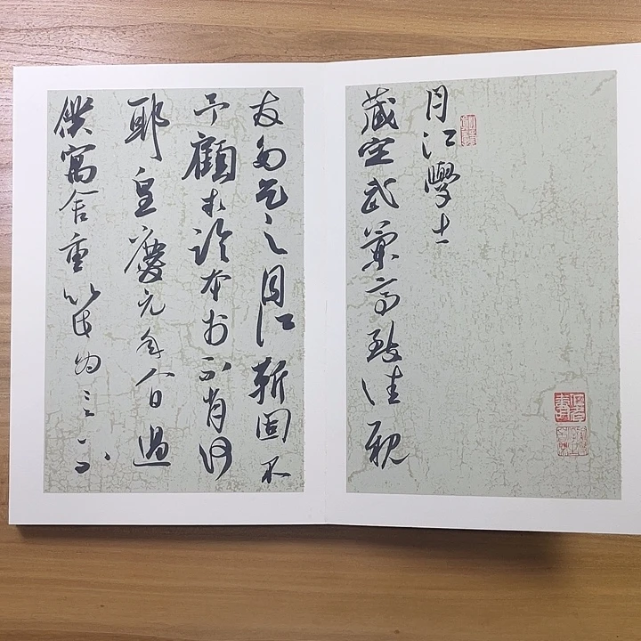 书法中书协会员作品