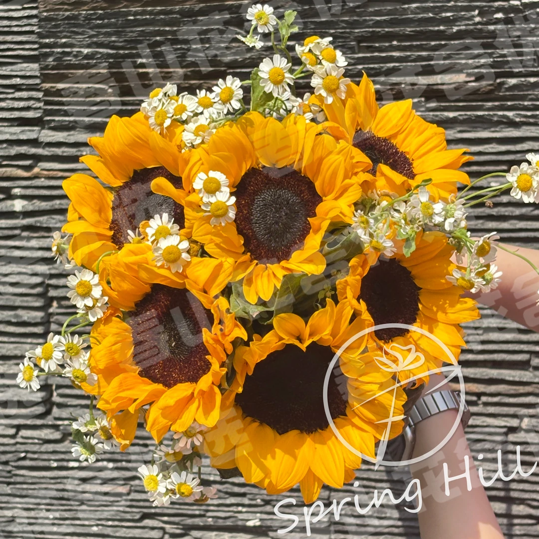 【向日葵+洋甘菊】春日向阳丨赠营养液（拍两单发：顺丰或冷链快递）