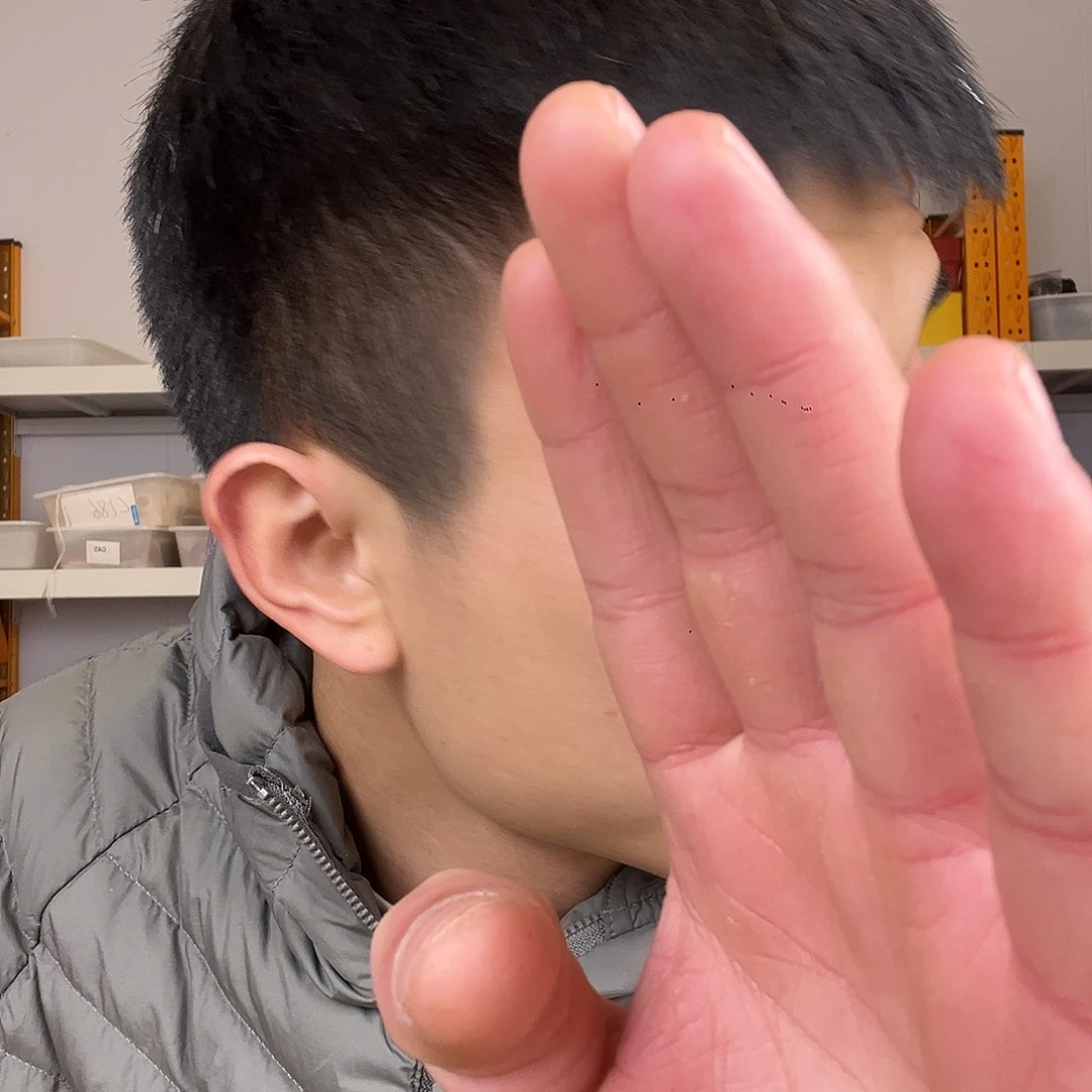 金***建缅甸花梨（花梨木类）223