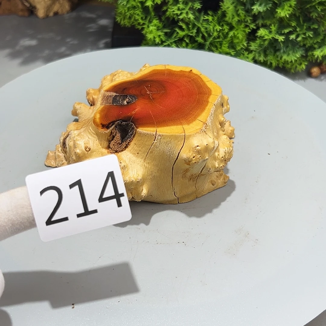 梨木佛****?火琉璃……