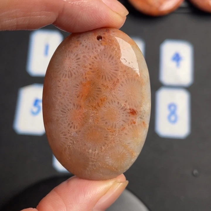 合金珠宝奇石硅化玉441