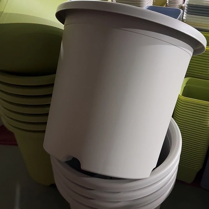 口径55灰白2个无托