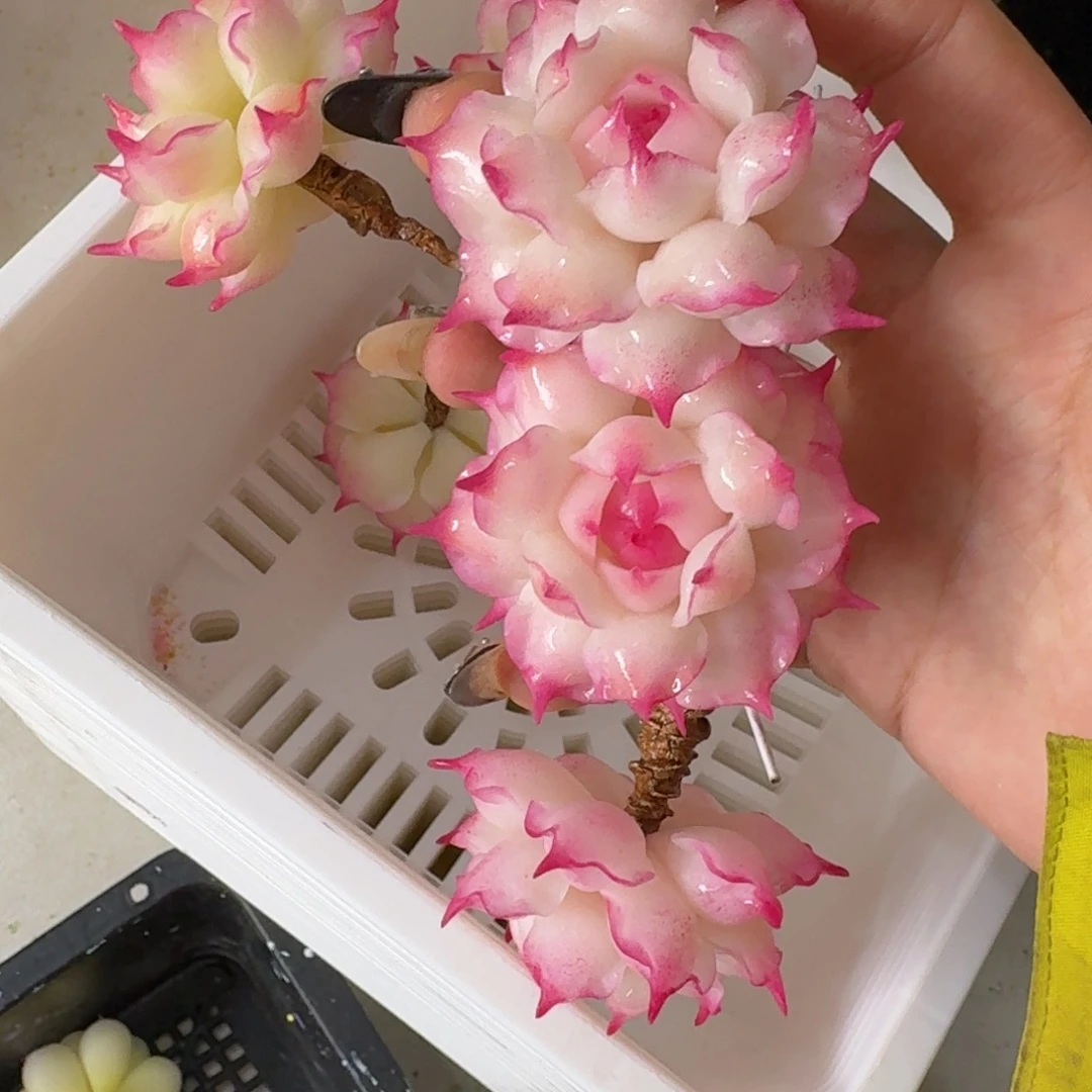 树脂制品60号噢噢噢哦哦