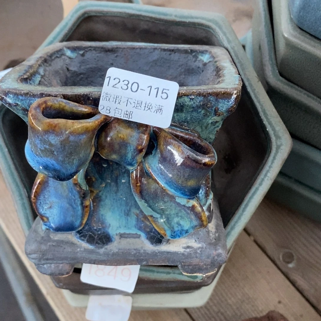 115号花盆内9.5高10