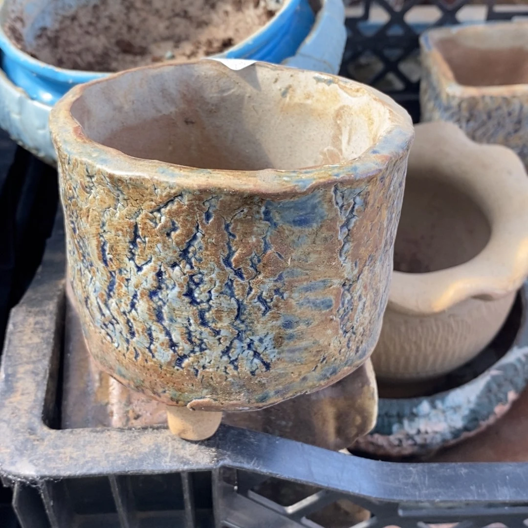 86¥号；肉盆口径8小可爱