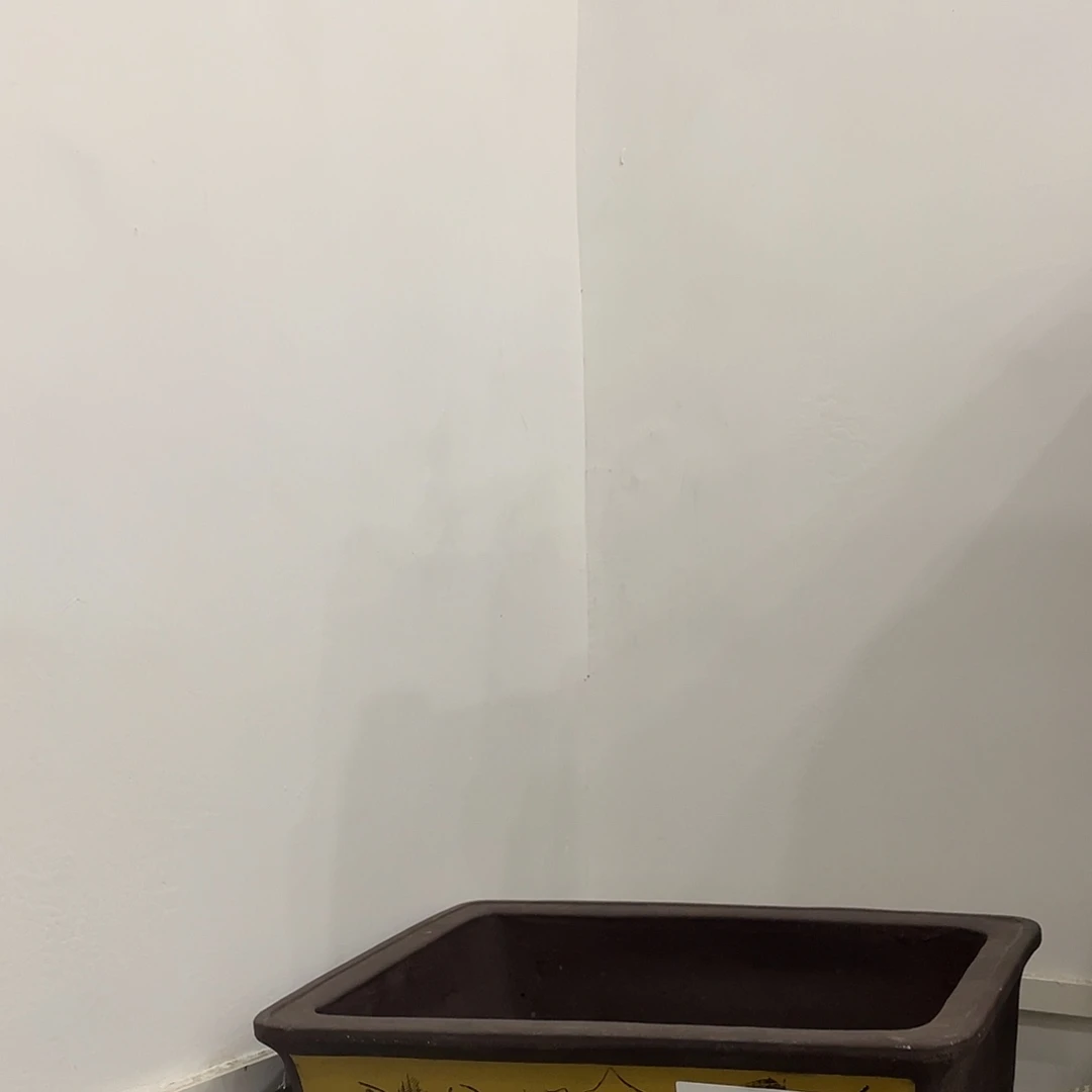 两个50一家漏记错了