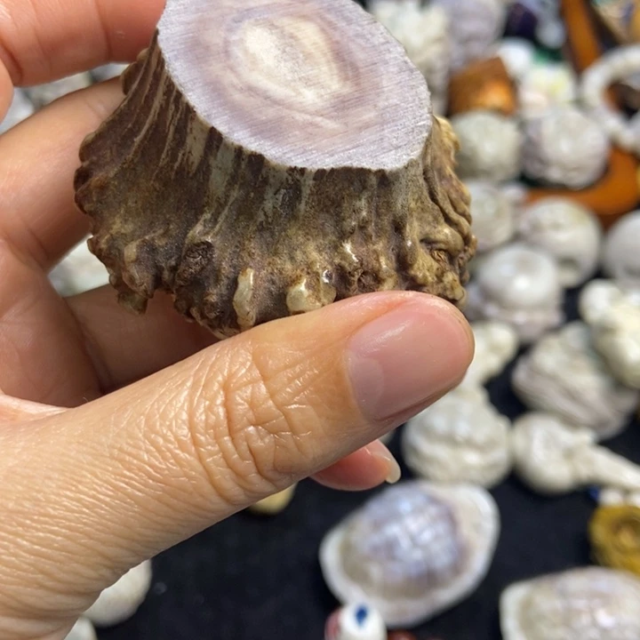 雨***云配饰鹿角有存款25，70的帽