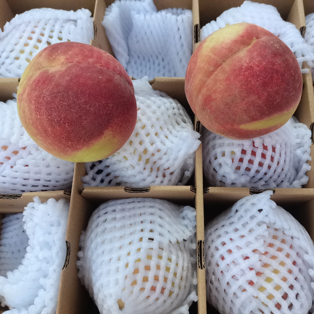 【全国包邮】兰州白凤桃顺丰直达白粉桃软桃子