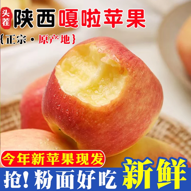 25年新货嘎啦苹果 新鲜现摘应季新鲜粉面苹果 产地现摘直发包邮