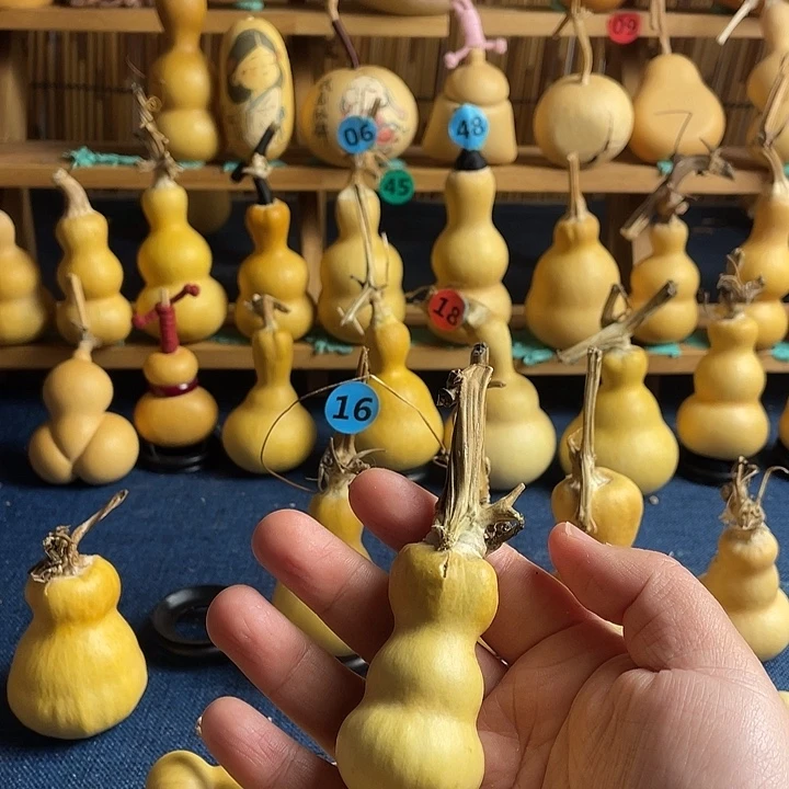 不***.11111111111111111111111