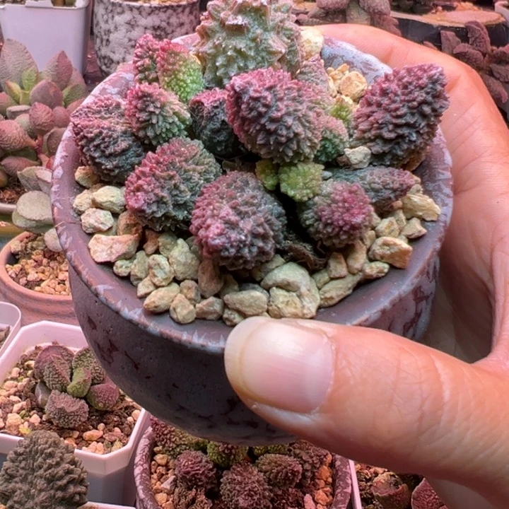 一物一拍，感谢支持