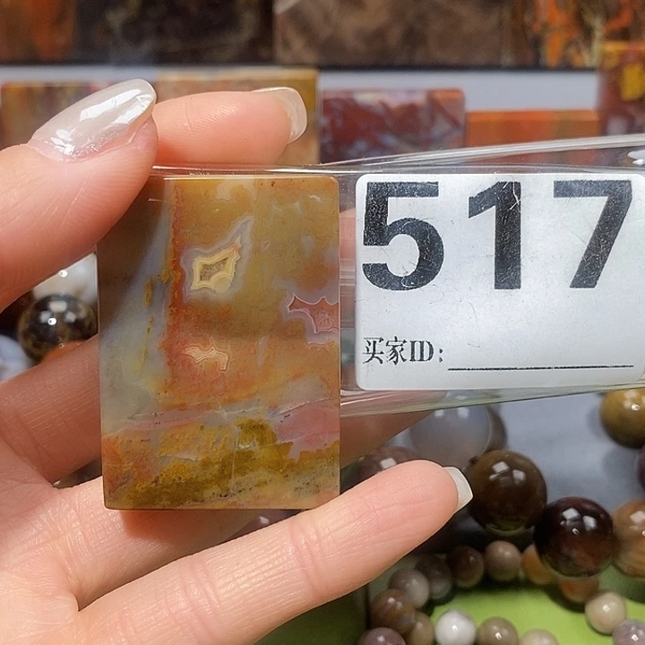 硅化玉未镶嵌天然北票树化玉吊坠