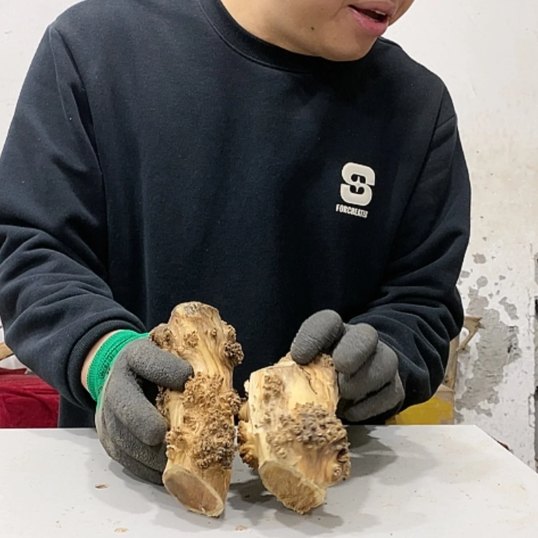 【闪购商品】柏木炮*茶我们都是好孩子