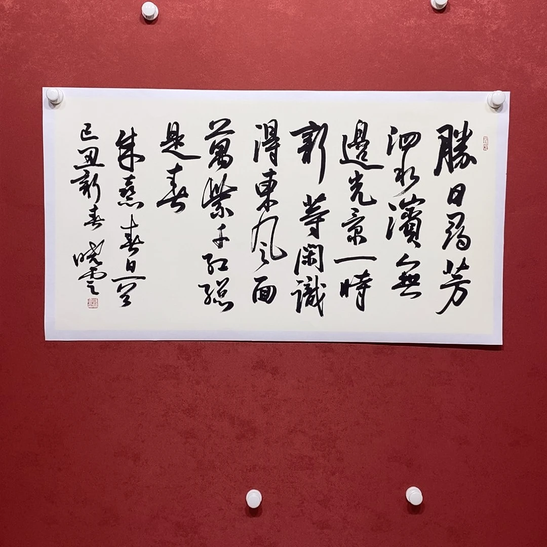 盛日寻芳直播大漏