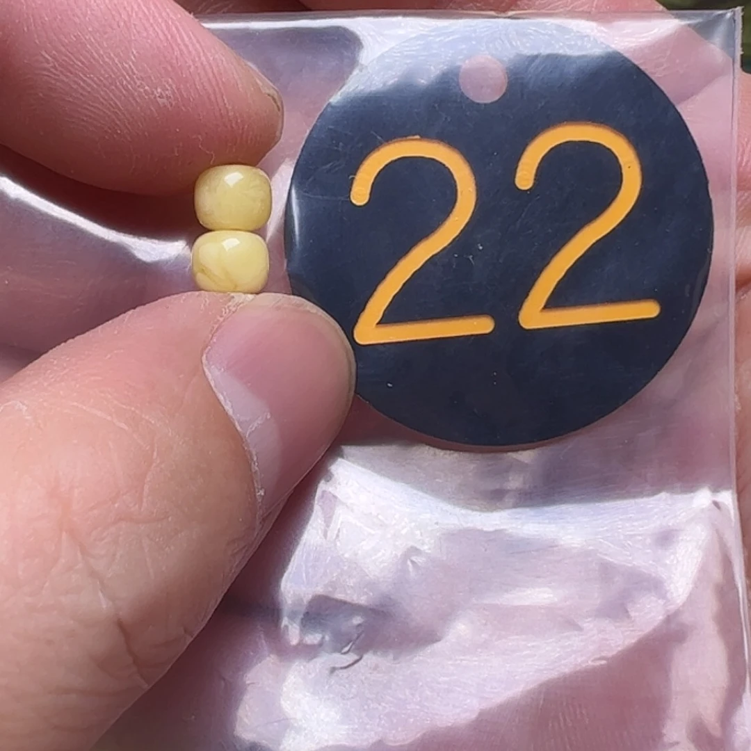 蜜蜡未镶嵌珠宝奇石6mm