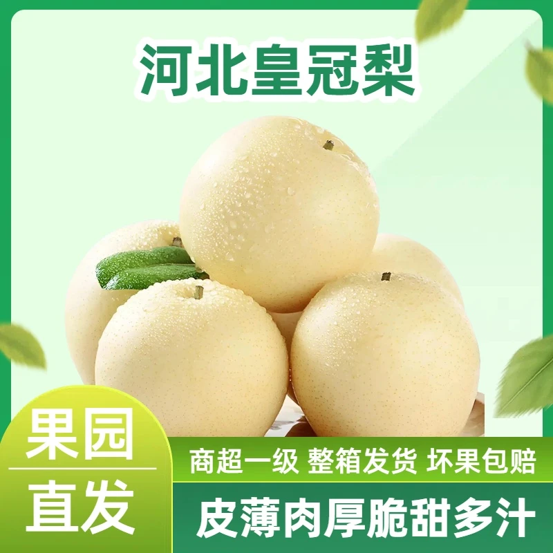 【京东到家】2025新梨河北皇冠梨薄皮水果脆甜多汁应季白梨子黄皮梨