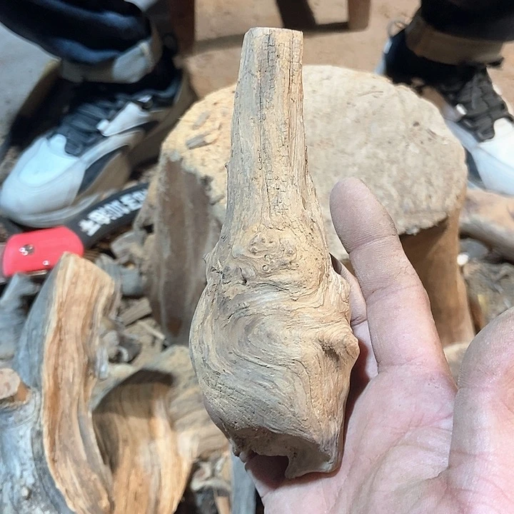 柏木小**电太行山区柏木木木