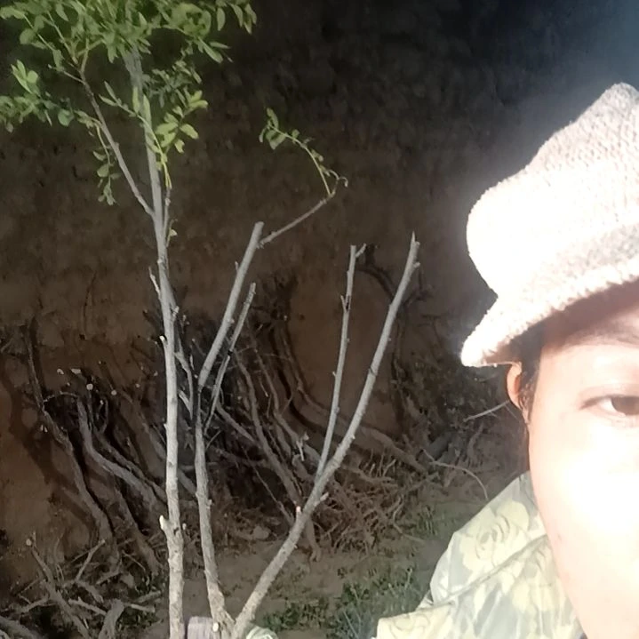 沥***程完全开放123456789@