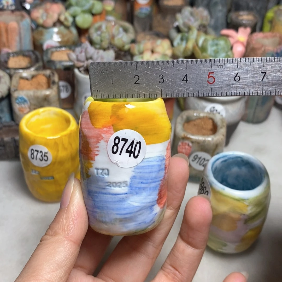 拍3送一个小礼物