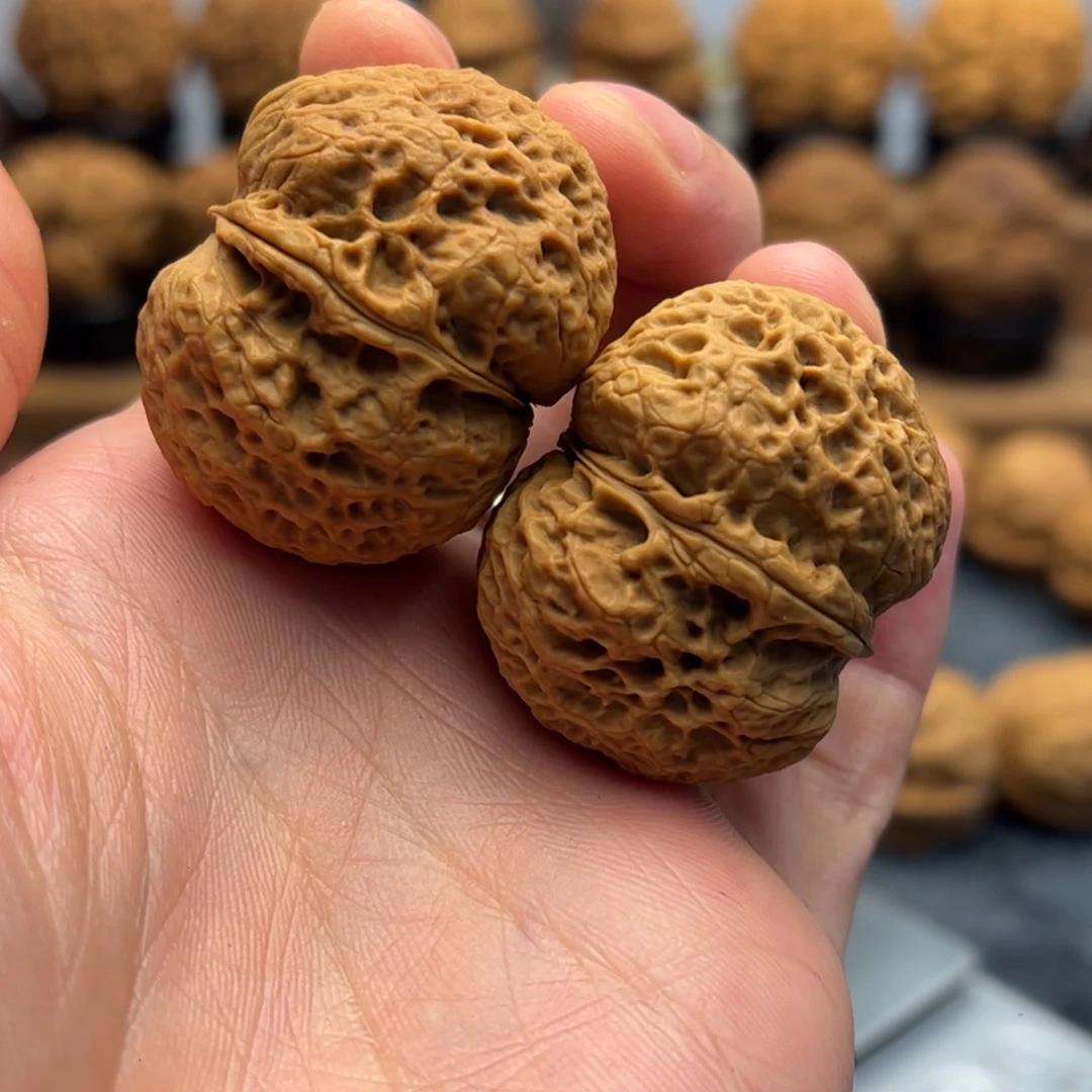 文玩核桃把件铁核桃12-9