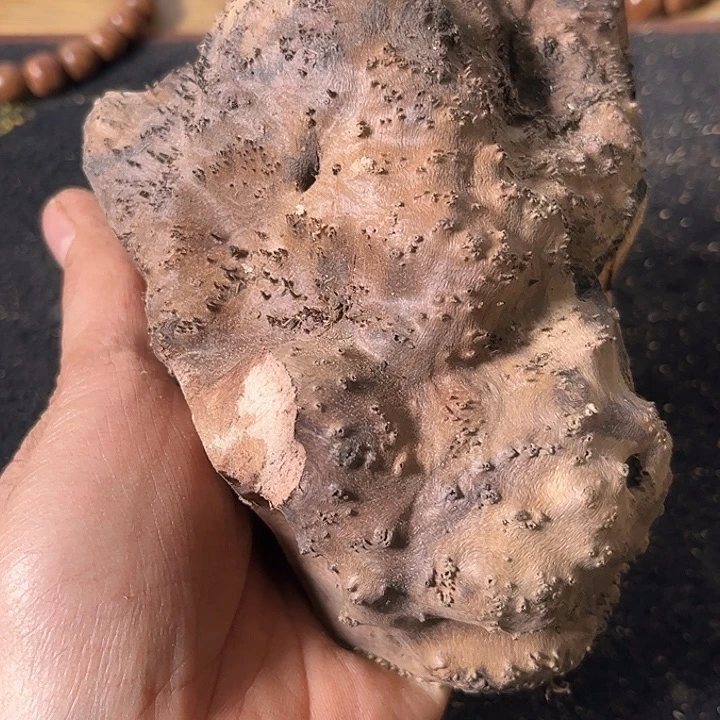 自***风香榧木我们的确是一个人的生活方式