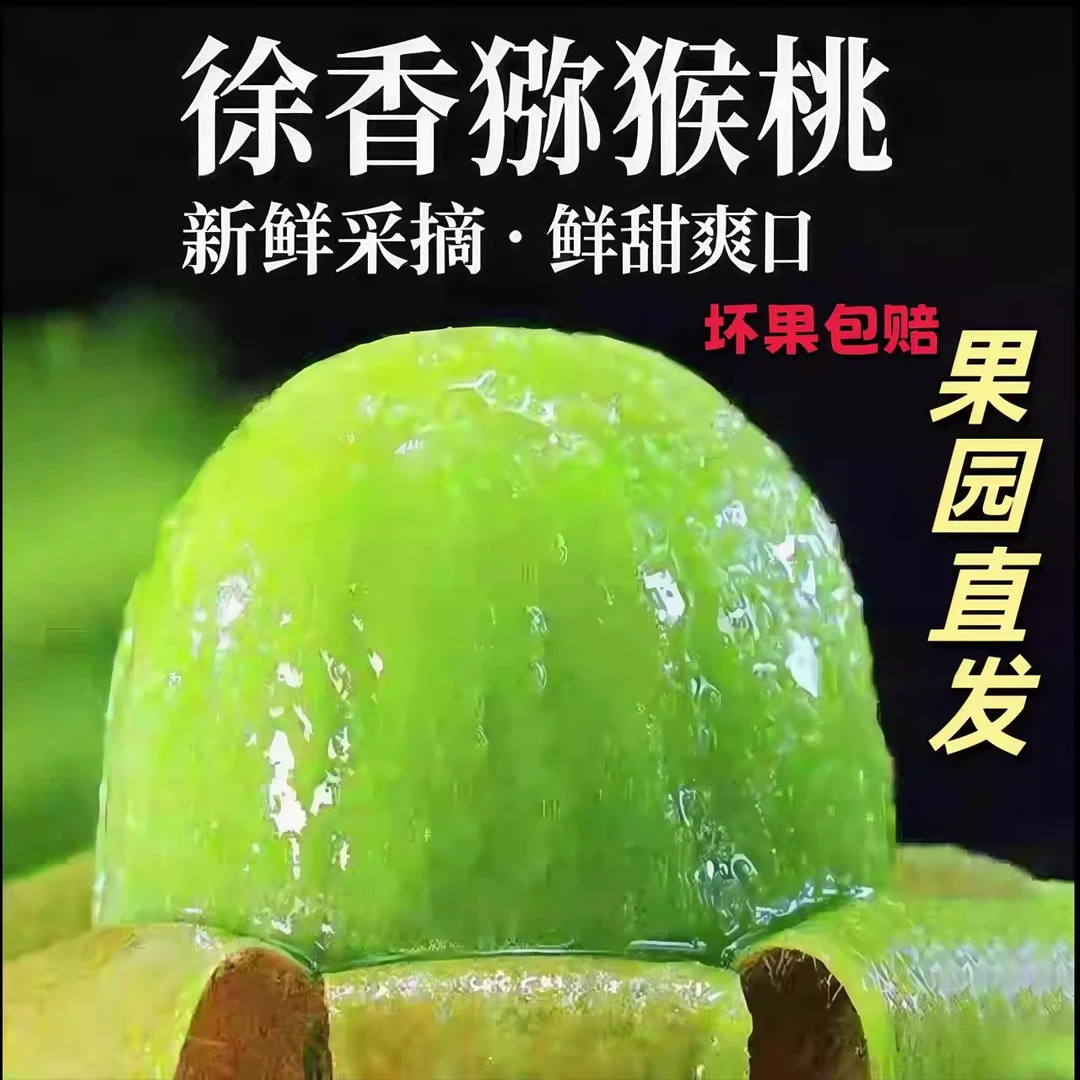 【天志甄选】陕西眉县徐香猕猴桃周至绿心奇异果新鲜水果当季特大果