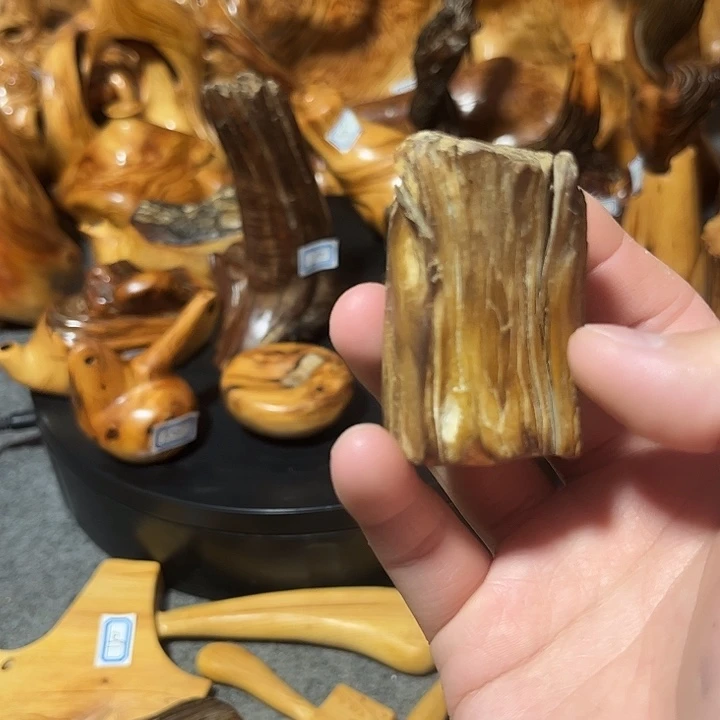 日***心柏木崖柏手把手把11