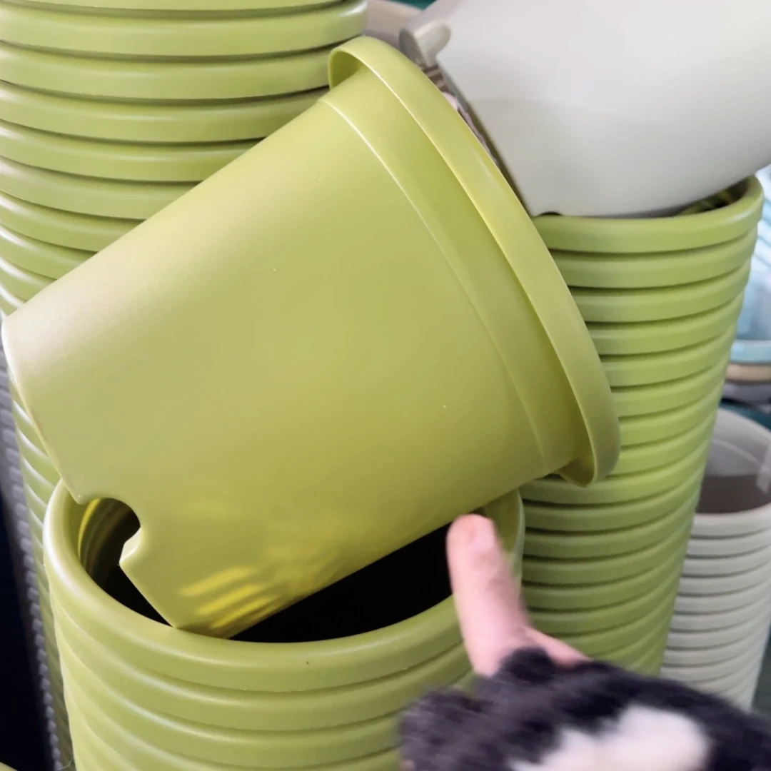 树脂特价4#无拖果绿8个