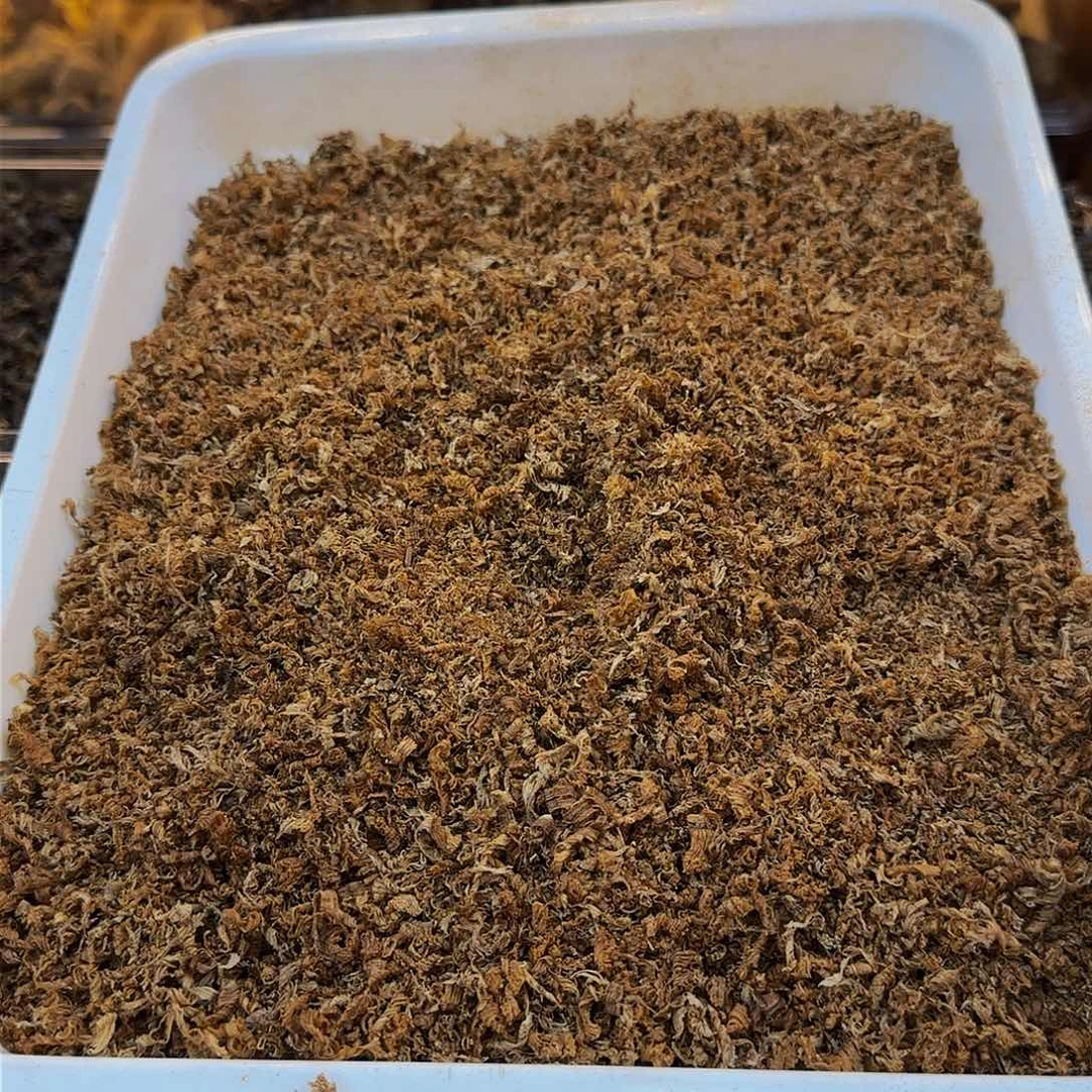 沉香沉香木制品野生红棋楠刨肉丝10克多样性发其一