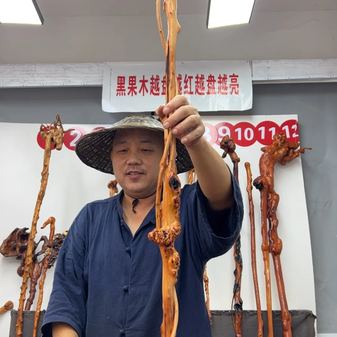 小***哥黑果木其他黑果木027