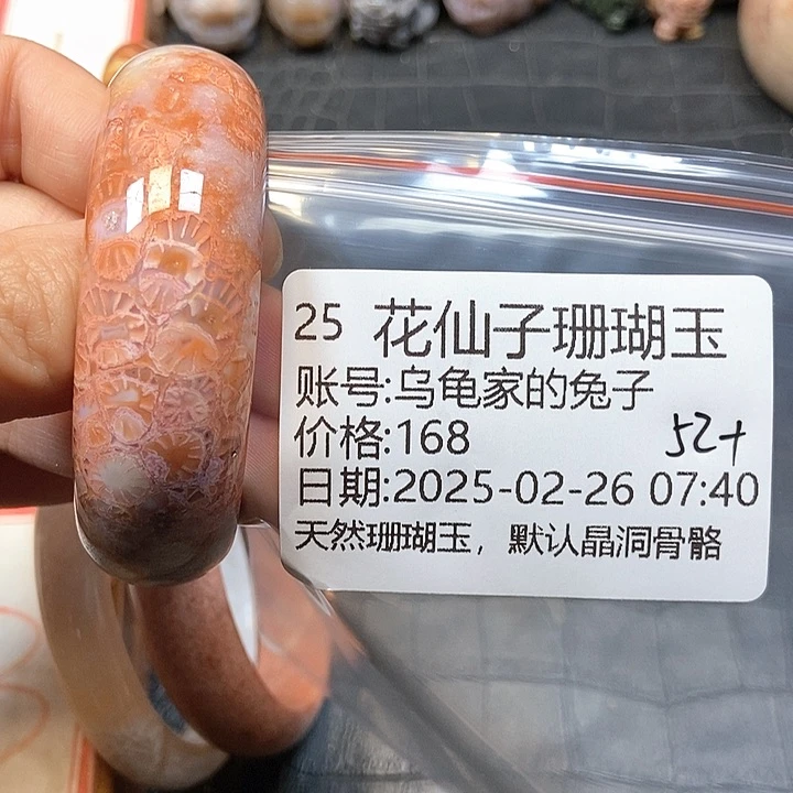 硅化珊瑚（珊瑚玉）手镯未镶嵌乌****子25