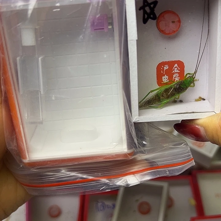 小***磊哈哈哈哈哈哈哈哈哈哈哈哈