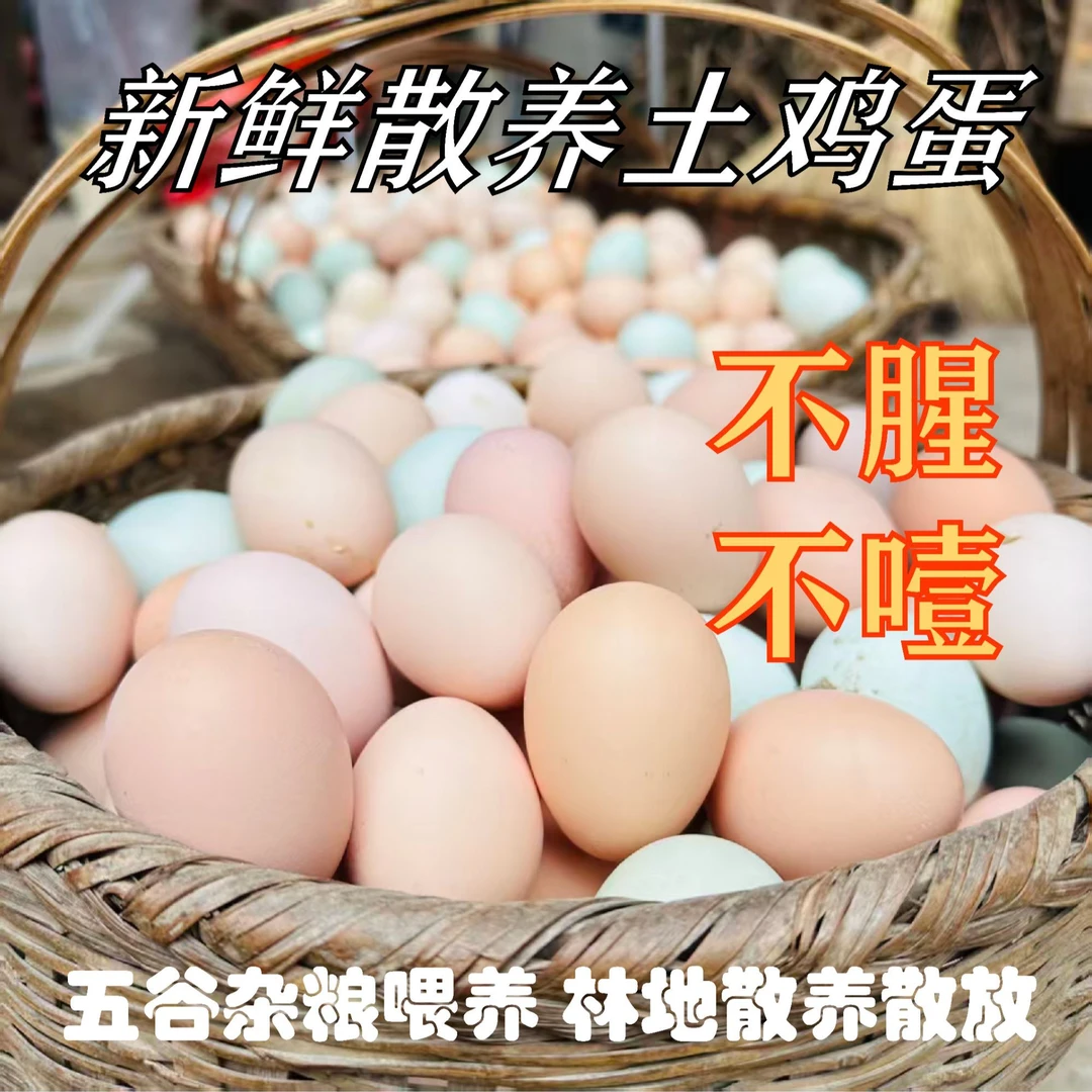 土跑山鸡散养土40枚一箱农家生鲜土100%的正宗土鸡蛋